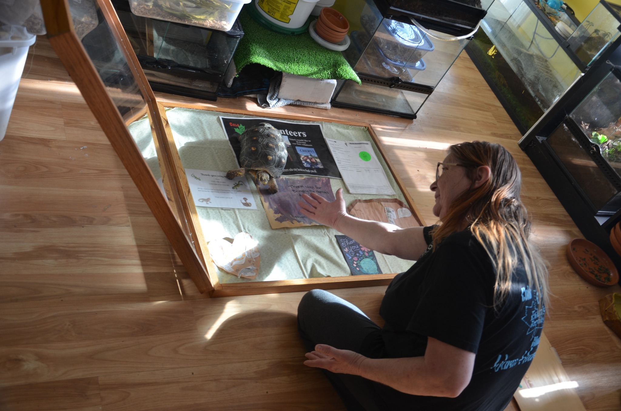 Handling a tortoise at Eden's Reptiles